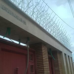 حفاظ بوته ای تراکم 53 در زاهدان