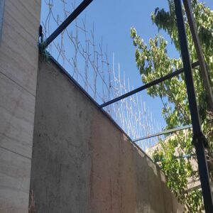 حفاظ شاخ گوزنی تراکم 22 اقتصادی در زاهدان