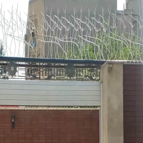 مشاهده عکس مدل های متنوع حفاظ شاخ گوزنی در زاهدان