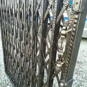 حفاظ آکاردئونی تمام گل سلطنتی پرتراکم لوزی در زاهدان