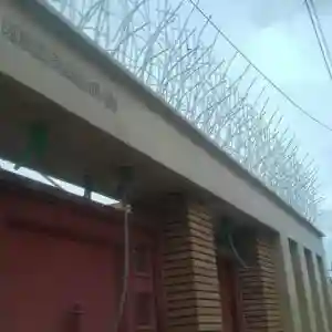 حفاظ بوته ای تراکم 53 در زاهدان