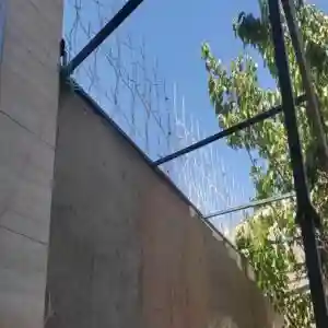 حفاظ شاخ گوزنی تراکم 22 اقتصادی در زاهدان