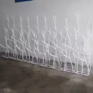 حفاظ شاخ گوزنی تراکم 40 در زاهدان