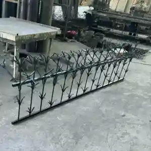 حفاظ شمشادی در زاهدان