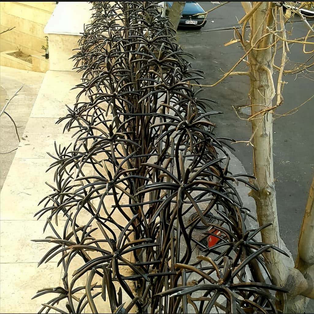 حفاظ با طراحی خاص