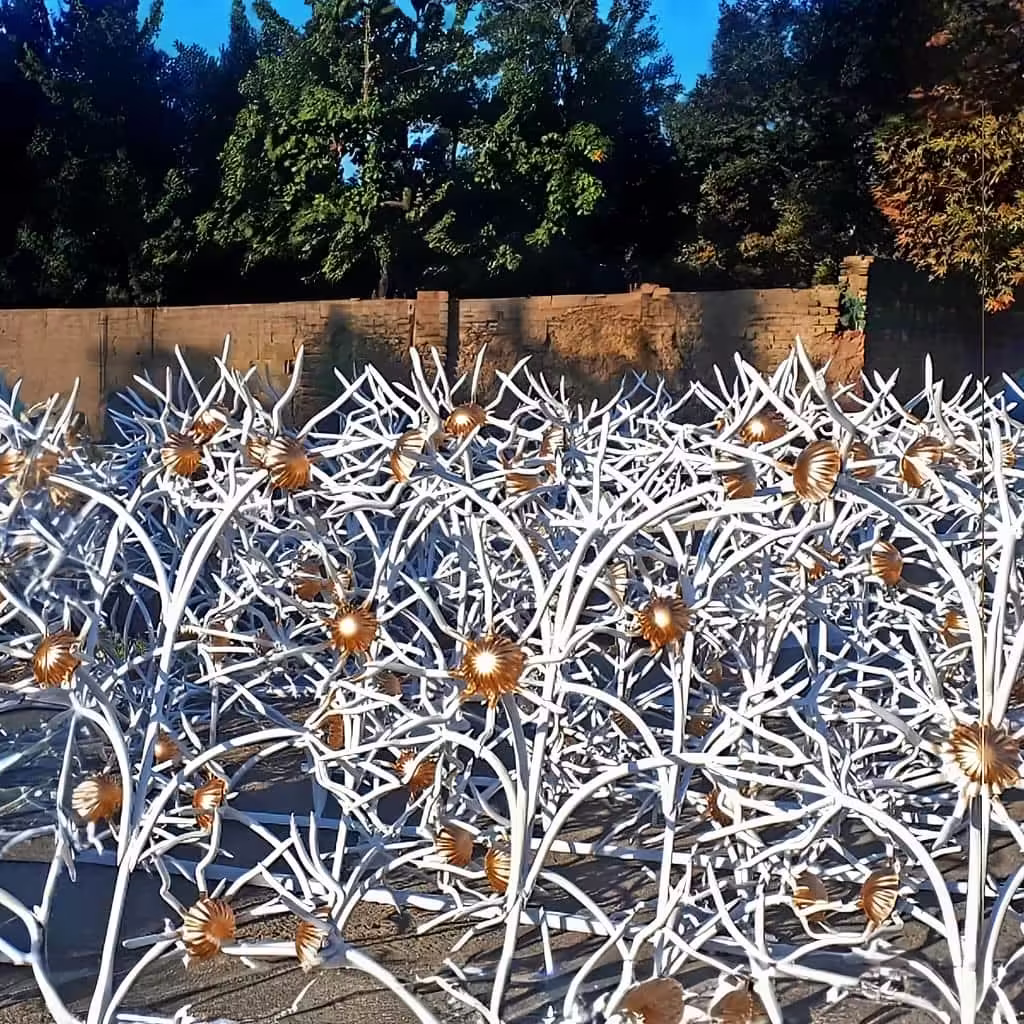 حفاظ ضد عبور