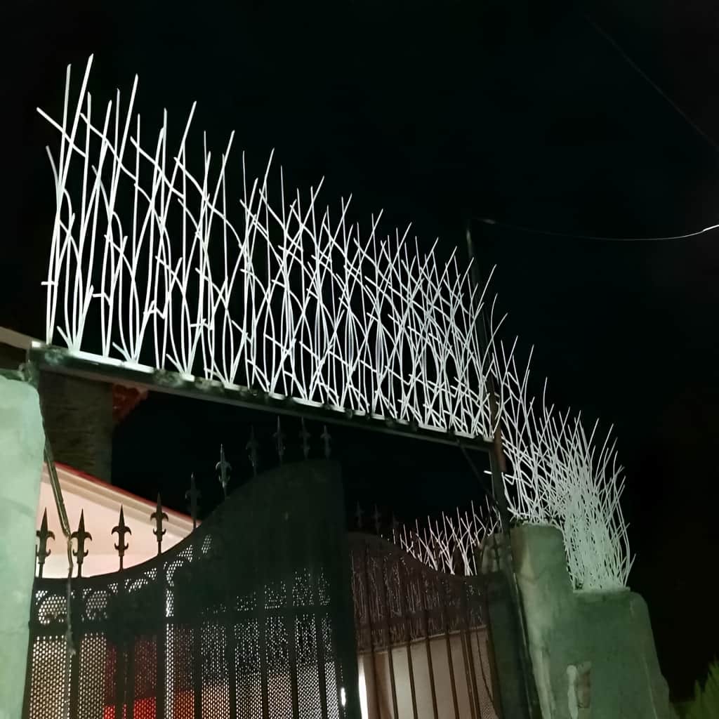 حفاظ دیوار زاهدان